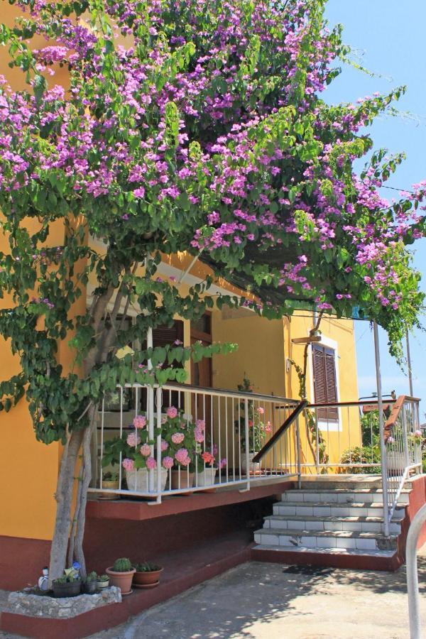 Apartments By The Sea Sali, Dugi Otok - 8110 Εξωτερικό φωτογραφία